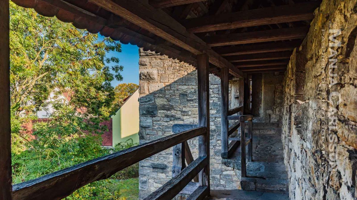 Rothenburg ob der Tauber - Entlang der alten Stadtmauer mit Blick in den Turmweg aus dunklem Holz und altem Gemäuer aus rustikalen Steinen. Viele grüne Baumkronen verdecken die Sicht auf die Dächer. Der Himmel leuchtet blau.