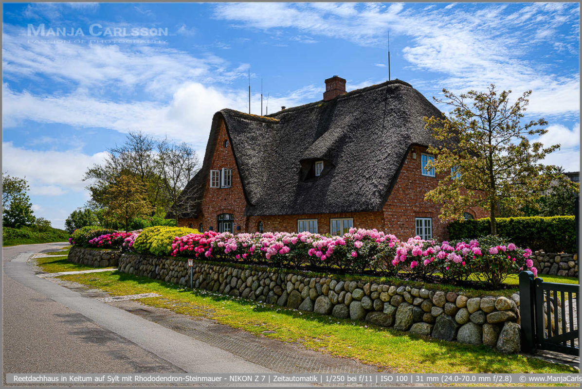 Foto-Spaziergang - Reetdach-Häuser in Keitum - Reetdachhaus in Keitum auf Sylt mit Rhododendron-Steinmauer