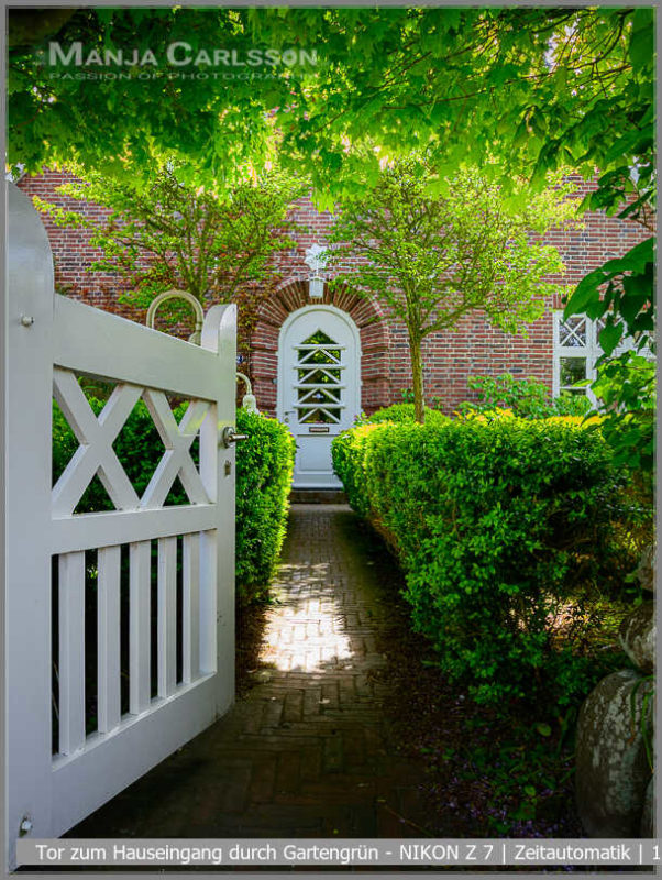 kleines Tor zum Hauseingang durch Gartenhecke